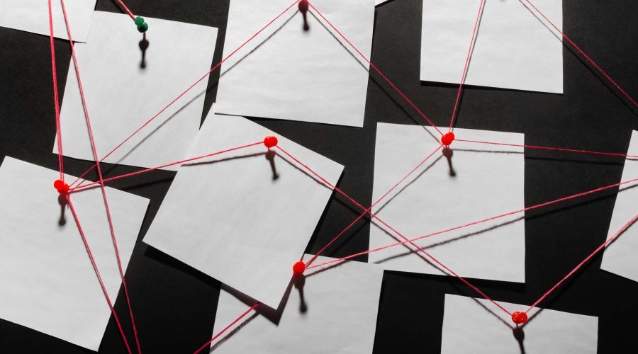 managing a fraud investigation